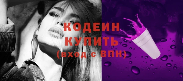 ECSTASY Бородино