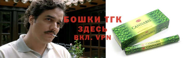 ECSTASY Бородино