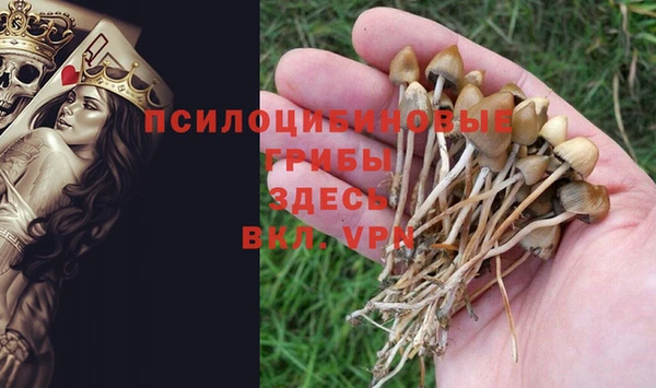 мет Бронницы