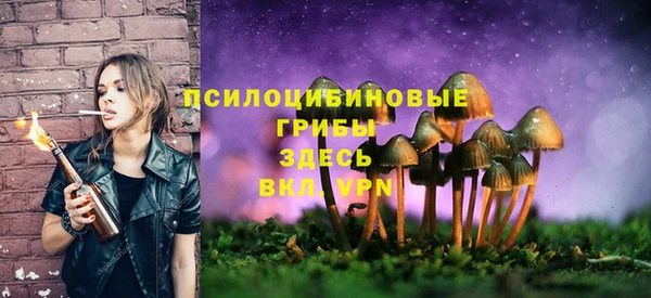 дмт Бугульма