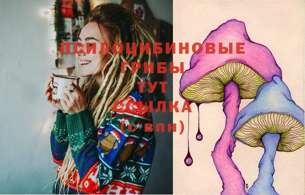 ECSTASY Бородино