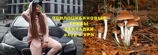 ECSTASY Бородино