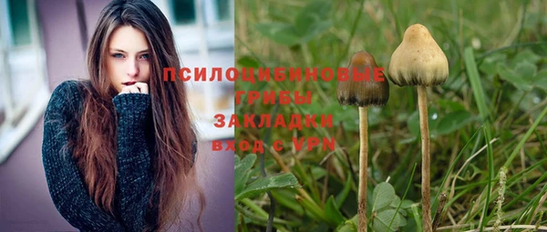 дмт Бугульма