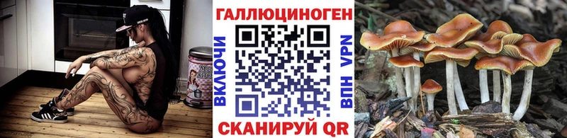сайты даркнета официальный сайт  Кемь  Галлюциногенные грибы Psilocybe 